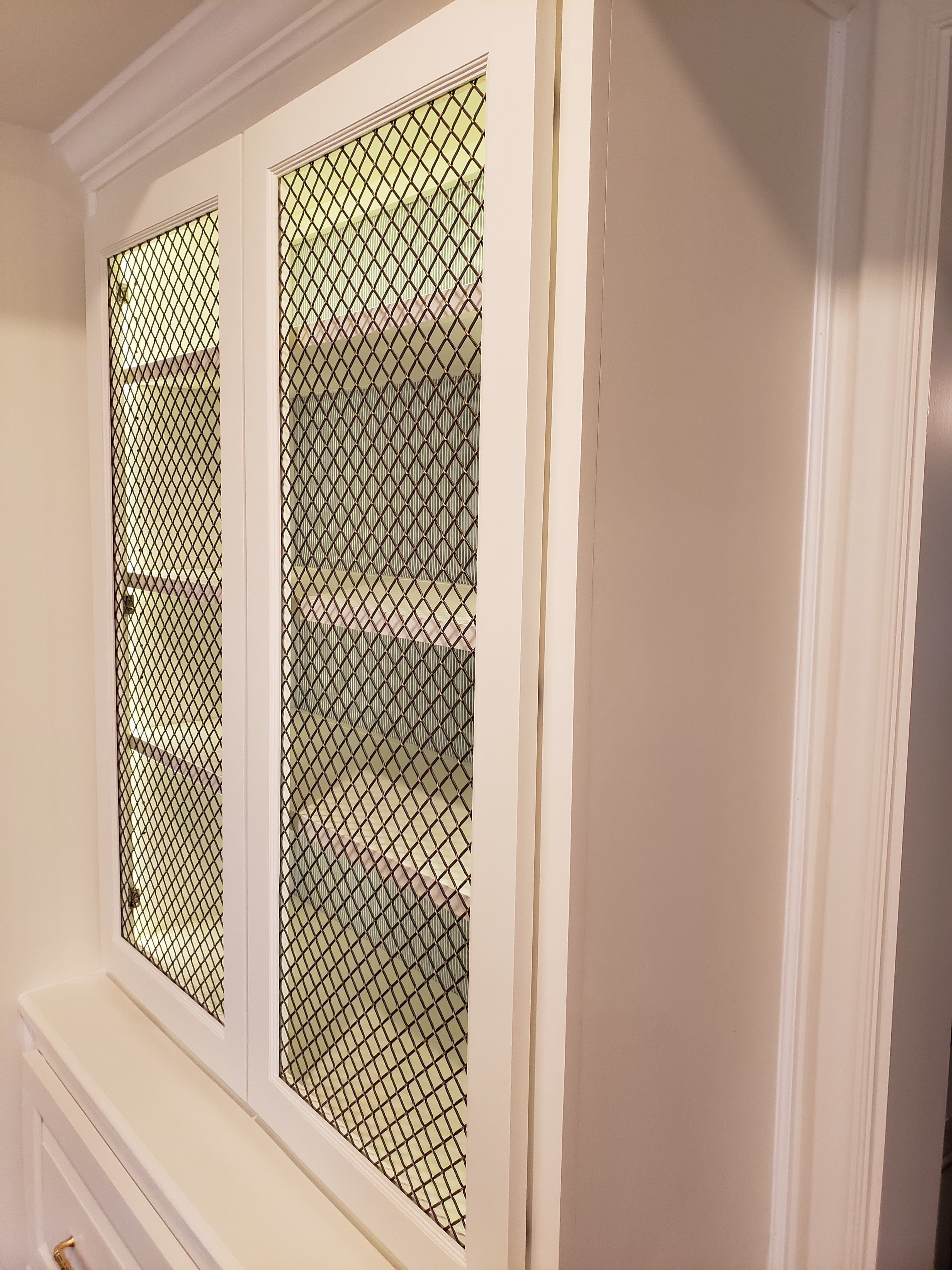 Custom cabinet with mesh panel doors and interior lighting - San Antonio TX