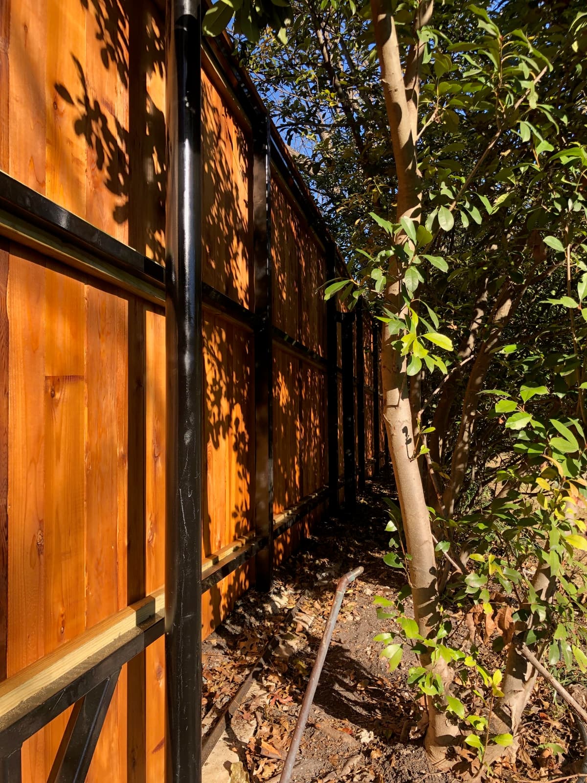 Steel frame detail behind a cedar-clad gate in Alamo Heights