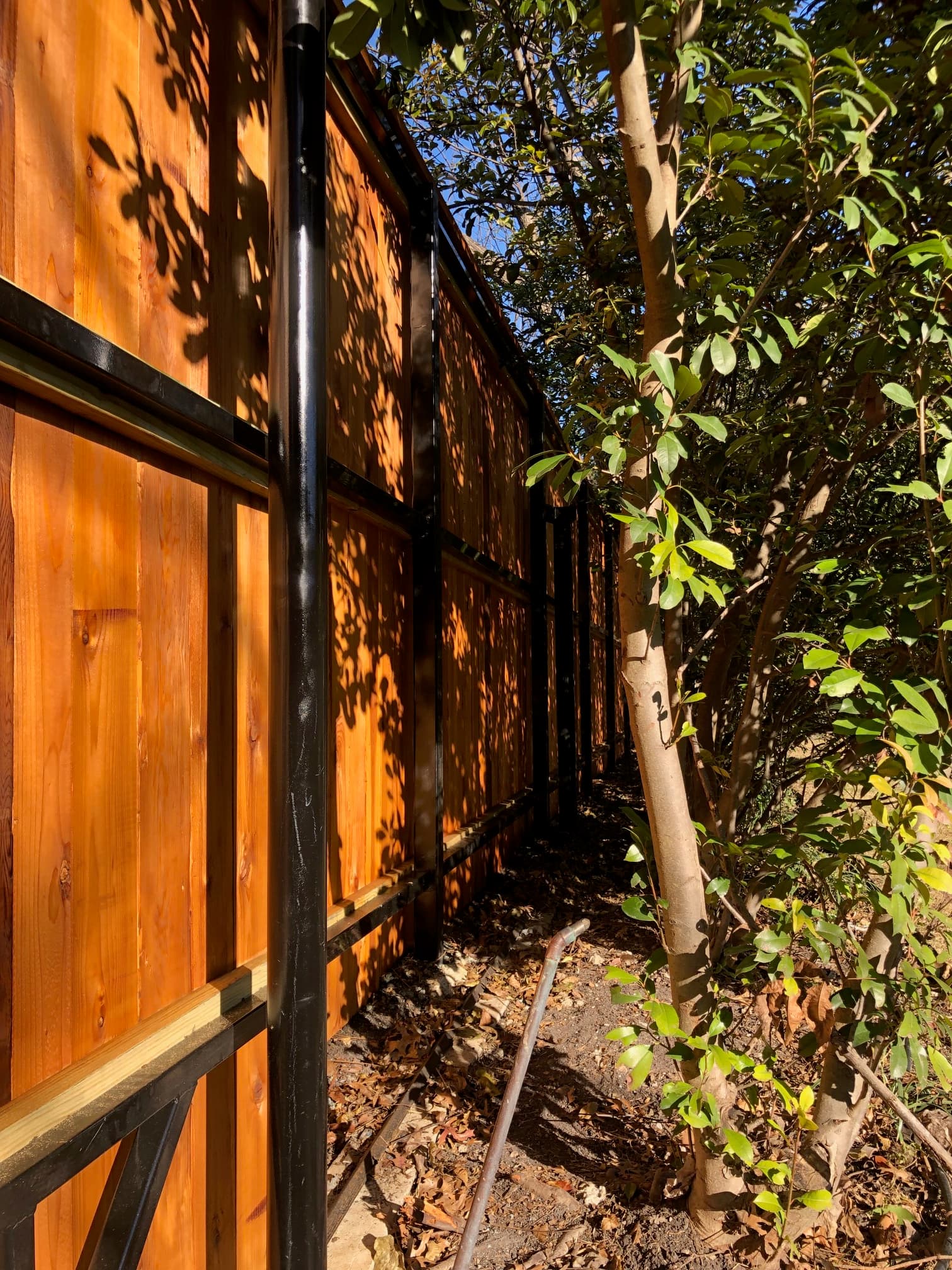 Professional fencing project featuring horizontal cedar fence gate with clear panels